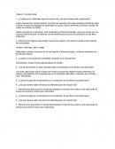 ¿Cuáles son los diferentes tipos de músculo liso y de qué manera están organizados?