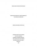 IDENTIFICACION DE IMPACTOS Y ASPECTOS AMBIENTALES