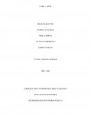 FACULTAD DE ECONOMIA PROGRAMA DE CONTADURIA PÚBLICA