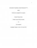 Protocolo de investigacion de la vigorexia.