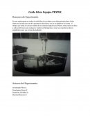 Caída Libre Equipo PHYWE Resumen de Experimento