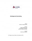 Importancia del capital humano. Estrategia de Downsizing