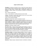 Deportes: Juegos recreativos equipo