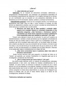 ¿Qué entiendes por teoría?