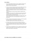 Empresas en proceso de internacionalización.