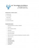 INTRODUCCIÓN A LA PRÁCTICA CLÍNICA