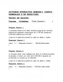 Cuentas contables-Actividad Interactiva