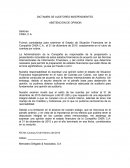 DICTAMEN DE AUDITORES INDEPENDIENTES