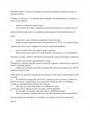 Neggocios Internacionales