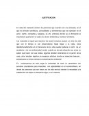 Crear un parque cementerio para mascotas