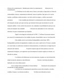 Efectos de la contaminación	Medidas para reducir la contaminación	Soluciones a la contaminación