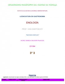 “REGIONES VINÍCOLAS”. Página 1