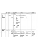 La piedra misteriosa.