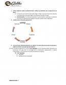 Cómo definiría usted la administración? ¿Difiere su definición de la expuesta en el libro?