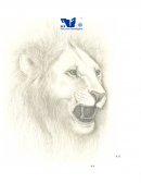 Ejemplo de los costos de calidad