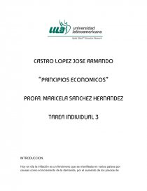 Monetaria “PRINCIPIOS ECONOMICOS”. Página 1