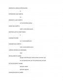 Ingresar al modo super usuario