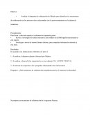 Diagrama de colaboración de Méndez.