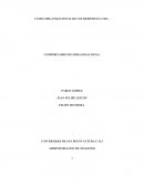 CLIMA ORGANIZACIONAL DE COLMODERNAS LTDA.