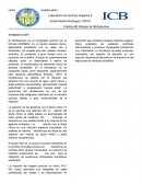 Sintesis de nitrobenceno. Practica #2 Sintesis de Nitrobenceno