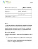 Pago de Dividendos Empresas 2013