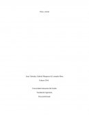 Etica y moral.Etica profesional