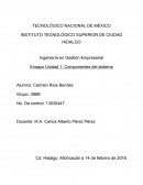 Ingeniería en Gestión Empresarial. Componentes del sistema