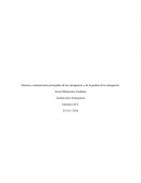 Historia y características principales de las emergencias y de la gestión de la emergencia