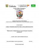 FASE PILOTO DE LA REFORMA CURRICULAR DE LA EDUCACIÓN NORMAL PLAN 2012