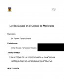 EL DESPERTAR DE UN PROFESIONISTA AL CONOCER LA METODOLOGÍA DEL APRENDIZAJE COOPERATIVO
