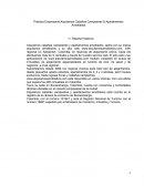 Práctica Empresarial Alquilamos Cabañas Campestres & Apartamentos Amoblados