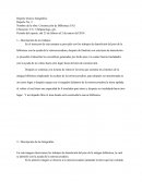 Reporte técnico fotográfico Reporte No. 2