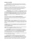 CATEDRAL DE CHARTRES.