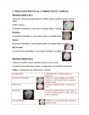 RESULTADOS PRACTICA SOBRE CAMBIOS FÍSICOS Y QUÍMICOS.