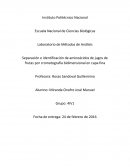 Separación e identificación de aminoácidos de jugos de frutas por cromatografía bidimensional en capa fina
