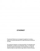 El protocolo Ethernet es el encargado de gestionar los datos y darles los formatos adecuados de la capa física para enviarlos por el medio.