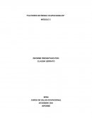 FACTORES DE RIESGO OCUPACIONALES. SEGÚN LAS CARACTERÍSTICAS ENERGÉTISCAS