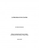 La Naturaleza de las Cuentas. Fundamentos del Proceso Contable