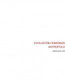 EVOLUCIÓN – HOMINIZACIÓN – ANTROPOLOGÍA