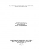 TALA INDISCRIMINADA EN EL MUNICIPIO DE MONTERREY EN EL DEPARTAMENTO DE CASANARE