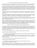 Conglomerados nocionales a sistemas conceptuales: