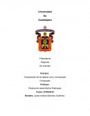 Composición de la materia viva y microscopio