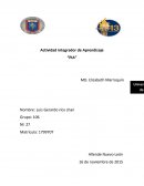 Actividad integrador de Aprendizaje.