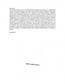 Siempre hay una manera de alcanzar la paz, dejar atrás las diferencias y unirse por un amor común