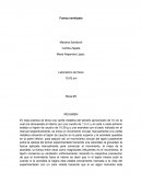 Fisica fuerza centripeta.