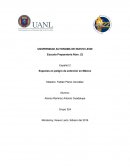 Especies en peligro de extinción en México.