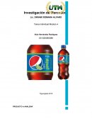 Pepsi Limón Investigación de Mercados.