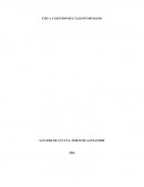 UNA MIRADA A LA IMPORTANCIA DE LA GESTION DEL TALENTO HUMANO.