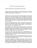 PROYECTO DE TRABAJO PARLAMENTARIO