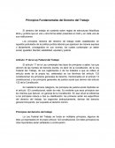 Principios fundamentales del derecho del trabajo.